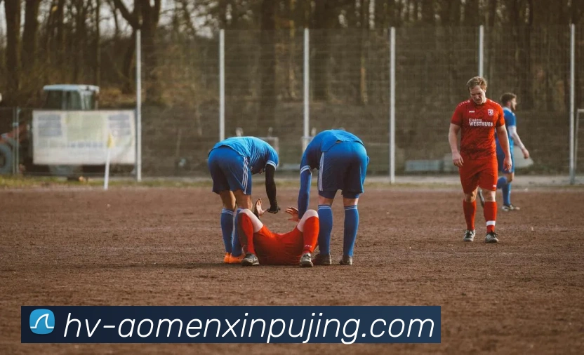 App Interface Preview